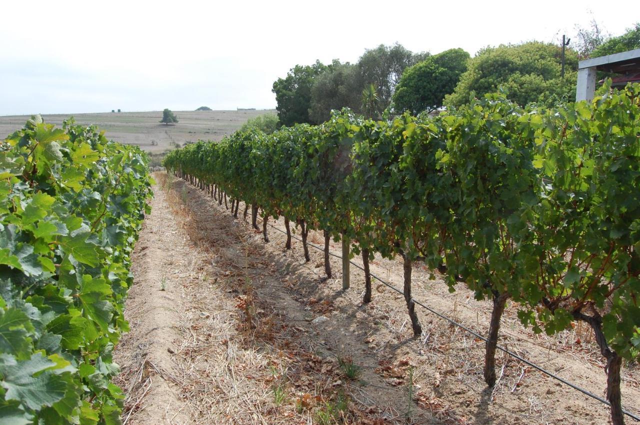 Deux Freres Wine Estate & Luxury Villas Stellenbosch Zewnętrze zdjęcie