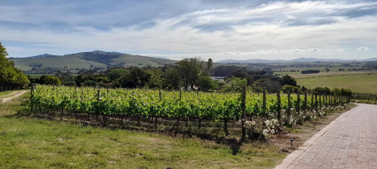 Deux Freres Wine Estate & Luxury Villas Stellenbosch Zewnętrze zdjęcie