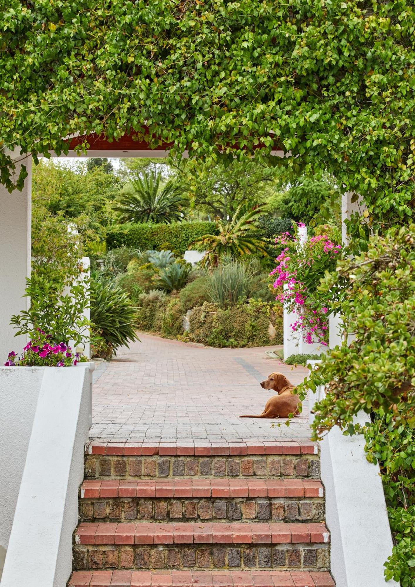 Deux Freres Wine Estate & Luxury Villas Stellenbosch Zewnętrze zdjęcie